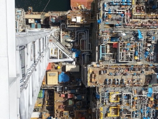 레스큐팀 메인페이지 미리보기